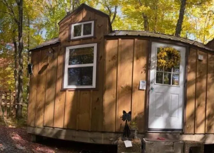 Tiny Cat Country Cabin