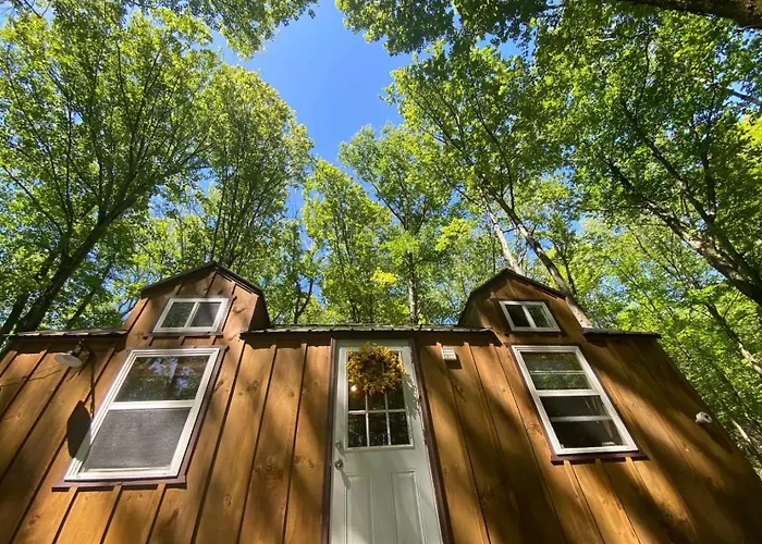 Tiny Cat Country Cabin