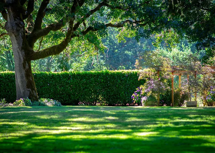 Blue Studio At Navarra Gardens