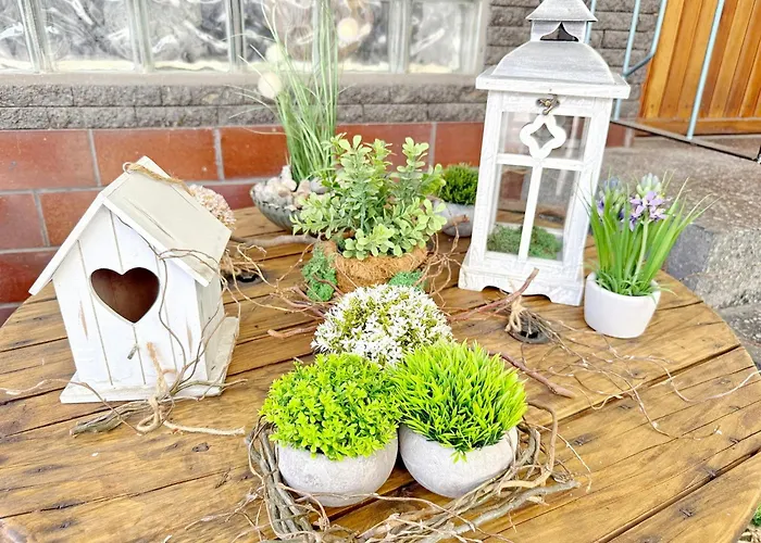 Sonnenring Mini