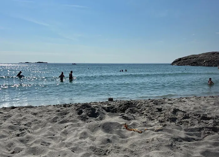 Sandve