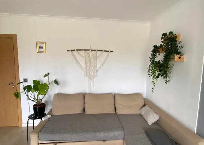 Like A Local Guest House