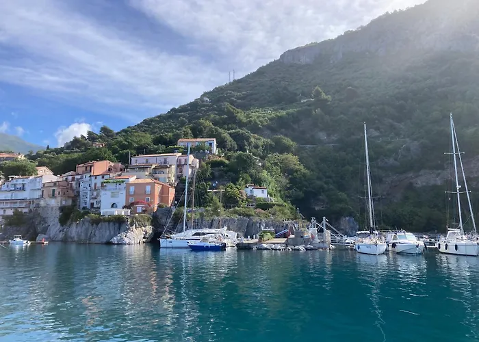 Affittacamere L' Agrumeto