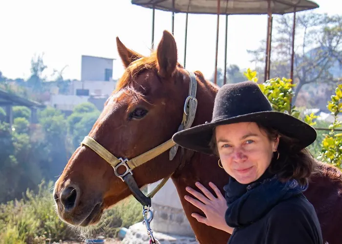Horse & Bed Hostel