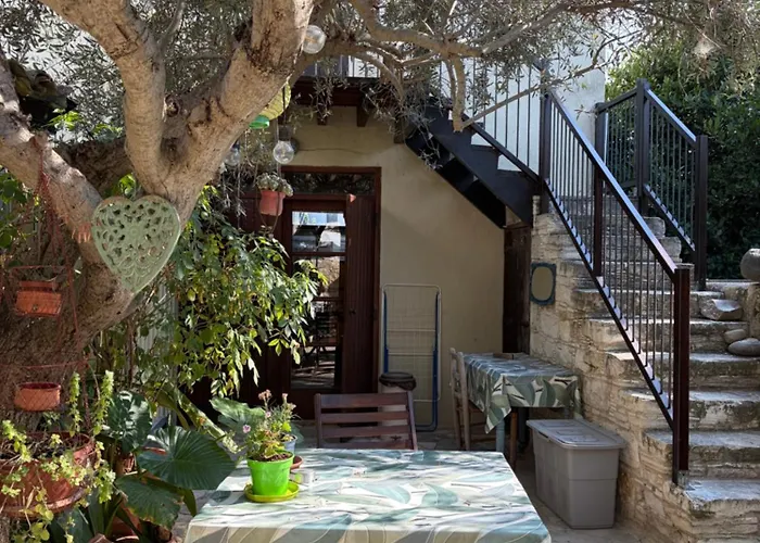 Avli-The Courtyard