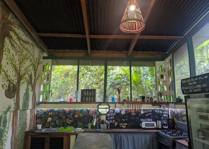 Smile Jungle Hostel