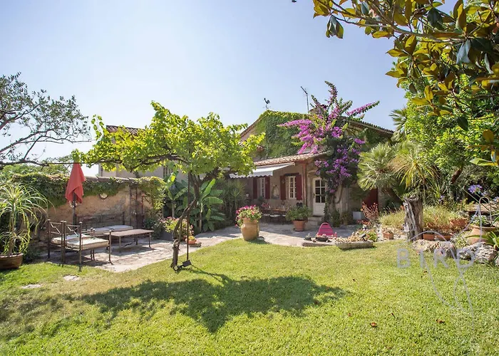Sumptuous Provencal Farmhouse At The Foot Of The Village Of Fayence