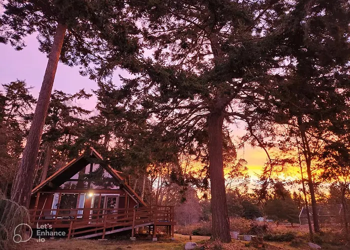 Room In Shared A-Frame Chalet