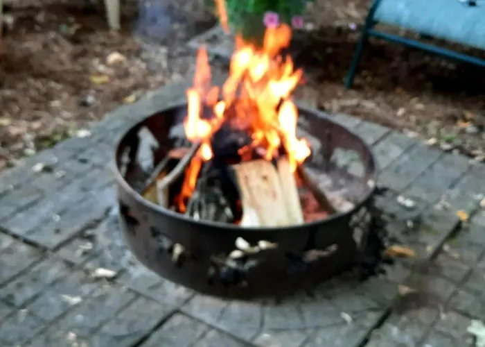 Bubbles In The Woods