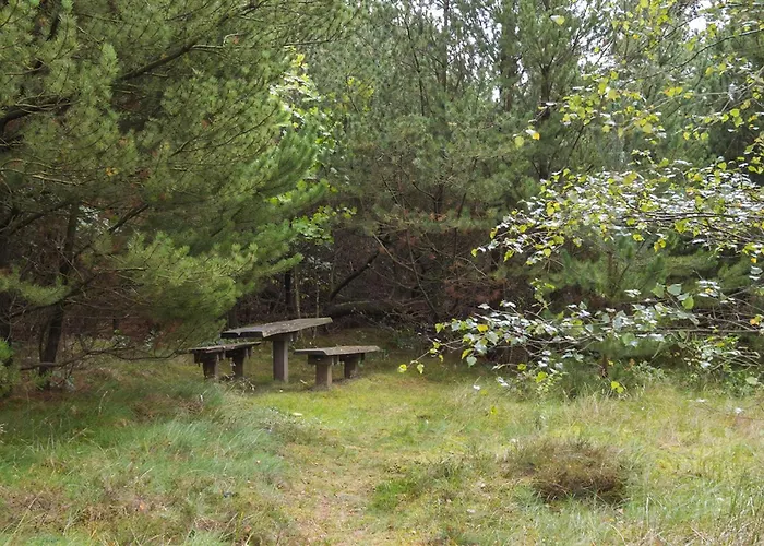 Holiday Home With Thatched Roof And Calm