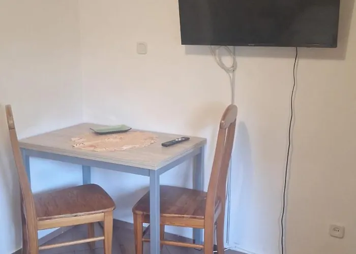 Hostel Pod Modrzewiem