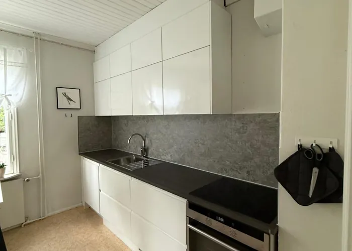 Hangon Ankkuri
