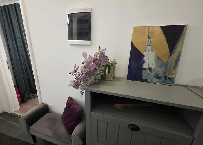 Studio Apartman Lang 1