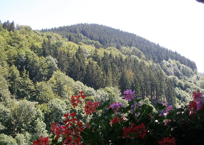 Pension Haus Waldfrieden, Meinecardplus Inklusive