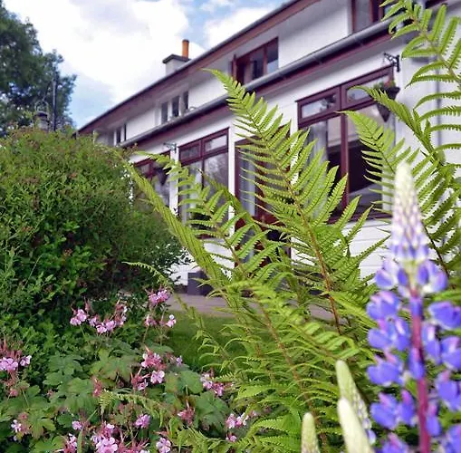 Guest house: Ardlogie Guest House