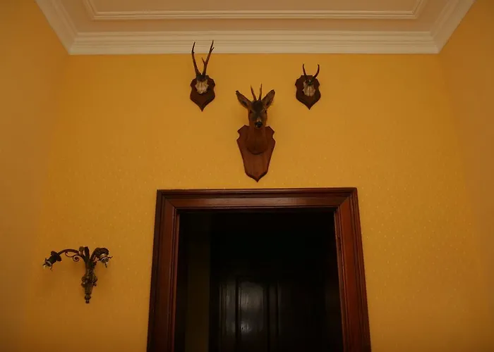New-Castle