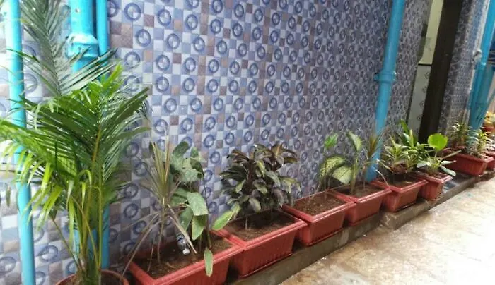 New Metro Guest House