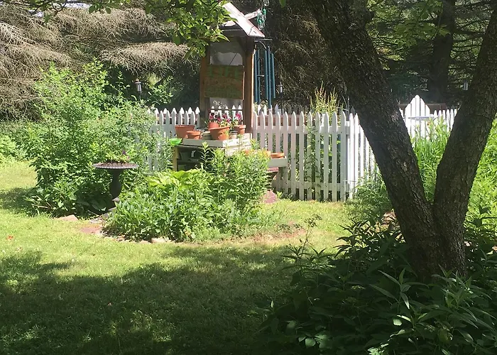 Wind In The Willows Overnight
