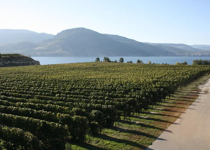 D'Angelo Winery Farm House