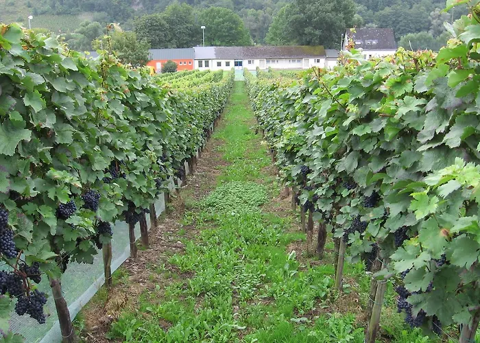 Weingut Day