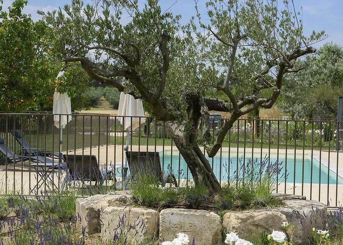 Animaux admis Domaine Du Mas Foucray