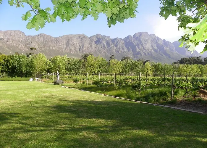 Trip to College Franschhoek Rose Cottages