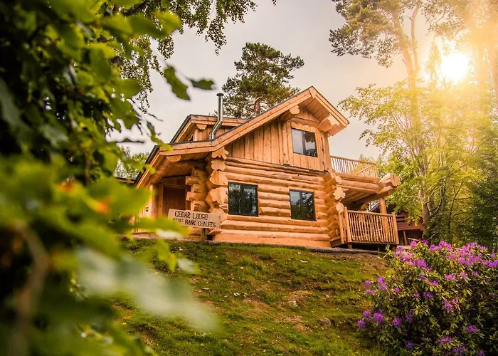 Pet Friendly hotel: Cedar Lodge