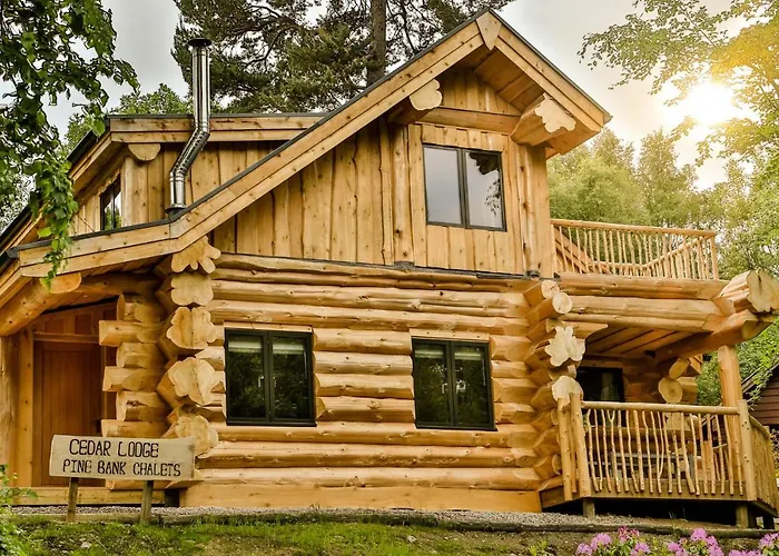 Pet Friendly hotel: Cedar Lodge