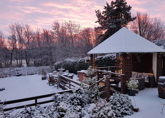 Guest house: Ardlogie Guest House