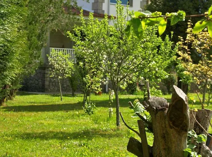 Albergue: Albergue Pallanes