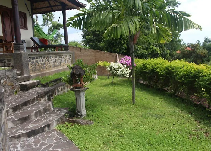 Bamboo Bali