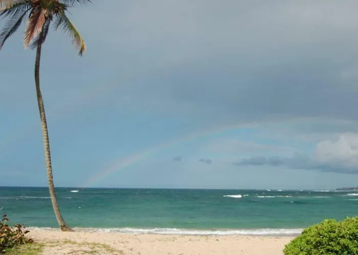 Gardenia- 3Br Dorado- Ocean Views + 3 Pools