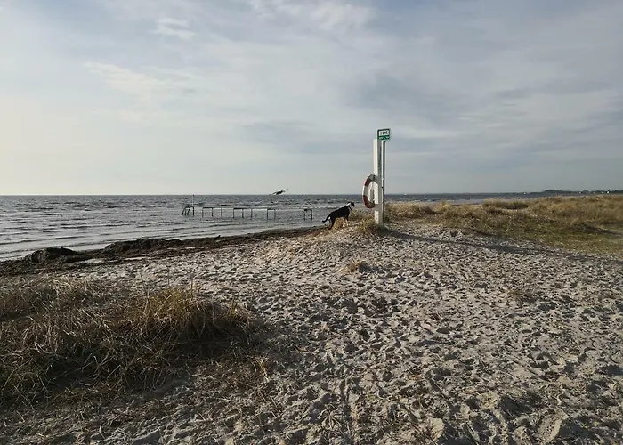 Spurvereden Ved Vandet