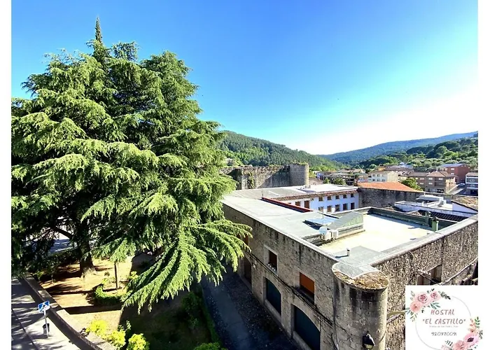 Casa de huéspedes: Hostal El Castillo